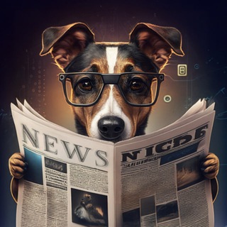 Telegram profile photo for Сигнал без шума