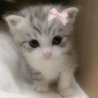 Telegram profile photo for в котельниках