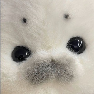 Telegram profile photo for vvilar