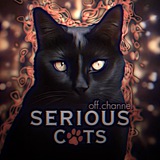 Telegram profile photo for 𝐬𝐞𝐫𝐢𝐨𝐮𝐬 𝐜𝐚𝐭𝐬🐾