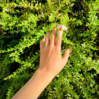 Telegram profile photo for صَباْ 🐣🌱 ،