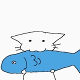 Telegram profile photo for saddew