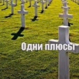 Telegram profile photo for Шкаф Мотылëка
