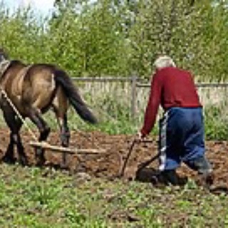 Telegram profile photo for Поорав, і вам раджу