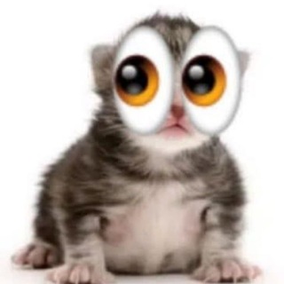 Telegram profile photo for Керамическая черепица 🧱