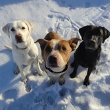 Telegram profile photo for Отзывы