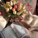 Telegram profile photo for 🕊️ هَــمَــسَاتٌ إيـمَــانِـيَّــة🕊️