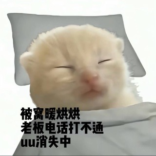 Telegram profile photo for 七月