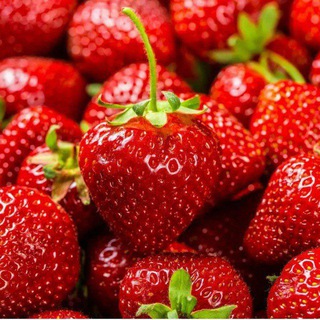Telegram profile photo for 🍓🍓КЛУБНИЧНЫЙ РАЙ🍓🍓
