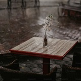 Telegram profile photo for "Faded Cries in the Wind"