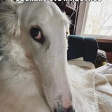 Telegram profile photo for документы