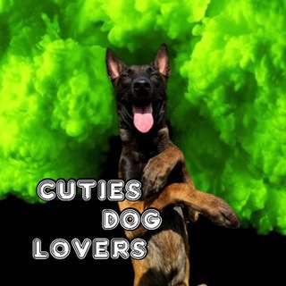 Telegram profile photo for Cuties Dogᴸᵒᵛᵉʳˢ