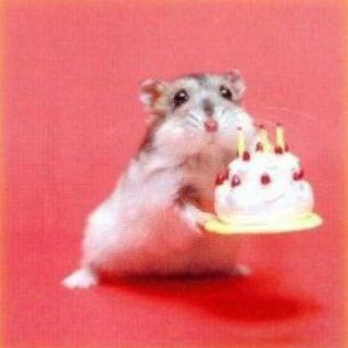 Telegram profile photo for penglaris sijew