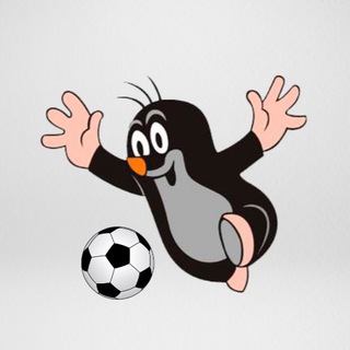 Telegram profile photo for Чешский футбол от A до Ž