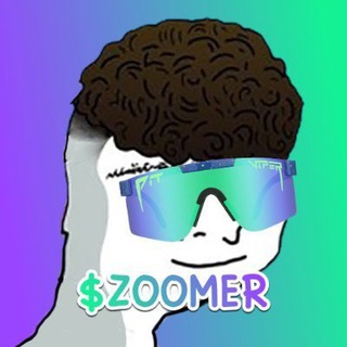 Telegram profile photo for Zoomer CTO