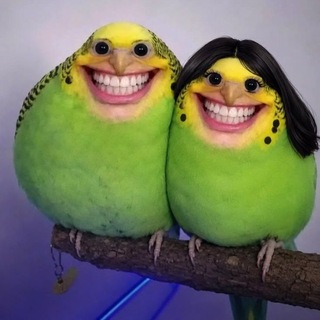 Telegram profile photo for ДВА Админа
