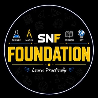 Telegram profile photo for SNF Foundation