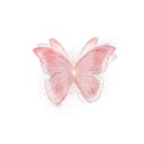 Telegram profile photo for Collection