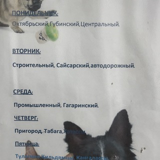 Telegram profile photo for БФ ‘’Помоги выжить’’