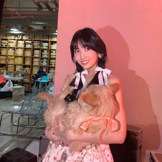 Telegram profile photo for Momo.