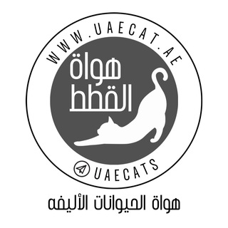 Telegram profile photo for π¦πͺ UAE Cats π¦πͺ