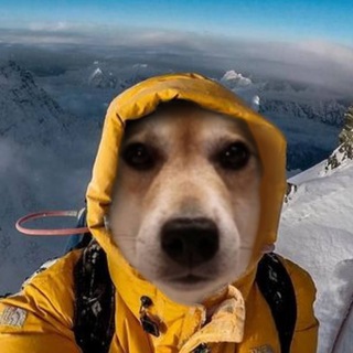 Telegram group profile photo for Vibin