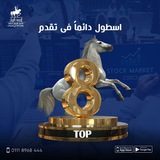 Telegram profile photo for اسطول لتداول الاوراق الماليه 🐎