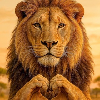 Telegram profile photo for Altai Lion🦁