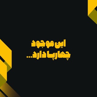 Telegram profile photo for مسابقه طراحی بدنه ربات