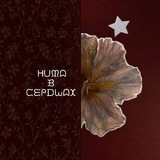 Telegram profile photo for NITA в сердцах