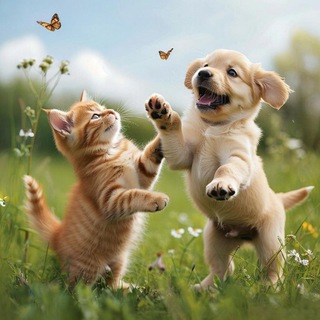 Telegram profile photo for В МИРЕ ЖИВОТНЫХ Батайск