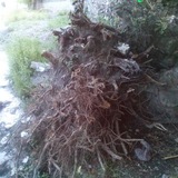 Telegram profile photo for سه گانی های محمد اسدی غنی