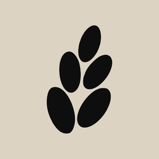 Telegram profile photo for ZAWU. Баня для компаний в Ярославле