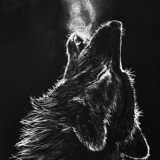 Telegram profile photo for Amazing photos