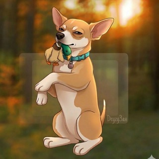 Telegram profile photo for Deyzi Dvornyaha