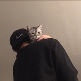 Telegram profile photo for домашний гороскоп