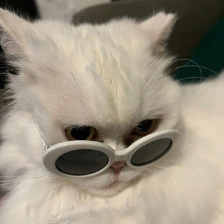 Telegram profile photo for مَلاك.