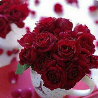 Telegram profile photo for غربـــــــــاء وأصــــدقاء