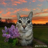 Telegram profile photo for Просто илон