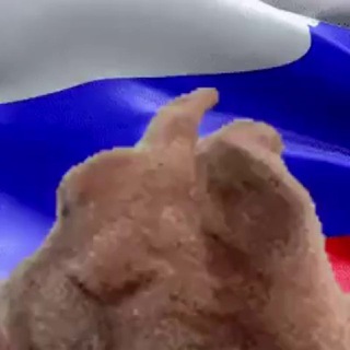 Telegram profile photo for "Ушастая Правда"✌️