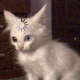 Telegram profile photo for repa работы менеджером