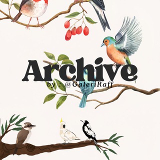 Telegram profile photo for Archive @JastipRaff
