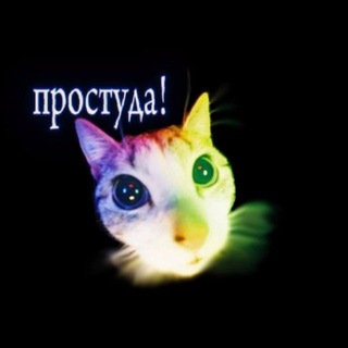 Telegram profile photo for ПРОСТУДА agency.