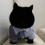 Telegram profile photo for ᴄɪᴍᴇɴɢ