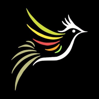 Telegram profile photo for بلبل جان | معرفی فیلم و سریال