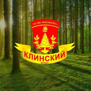 Telegram group profile photo for Клинское лесничество