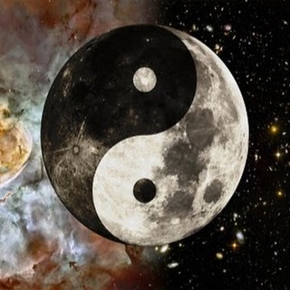Telegram profile photo for Bushwacker, канал для анонсов