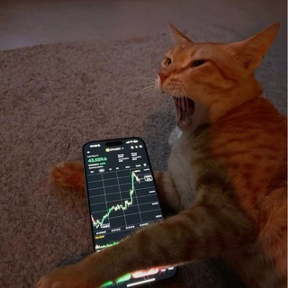 Telegram profile photo for Crypto Cat
