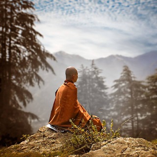 Telegram profile photo for Встречи с буддийскими монахами традиции Тхеравада в ProYoga