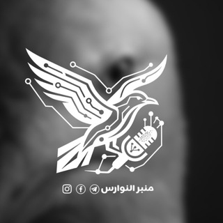 Telegram profile photo for منبر النوارس _MNBR AI NAWARIS